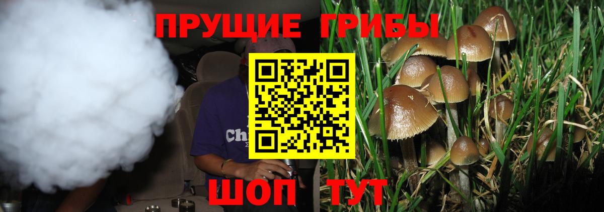 Галлюциногенные грибы мицелий  Вход с VPN  Россошь 